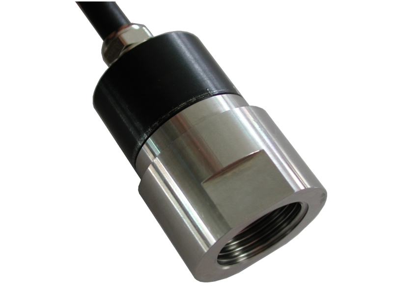 P125����������