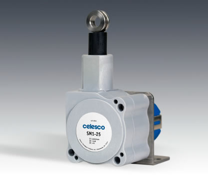 SM1���Kλ�Ƃ�����