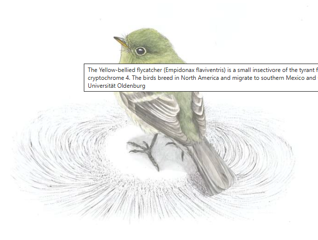 屏幕截圖 2025-11-30 225350.png